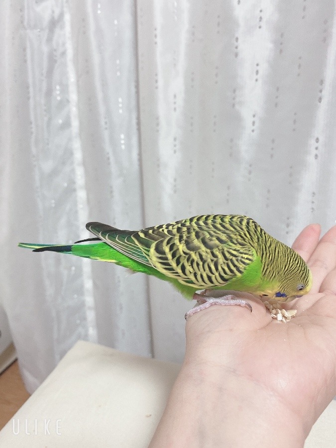 初投稿🎉