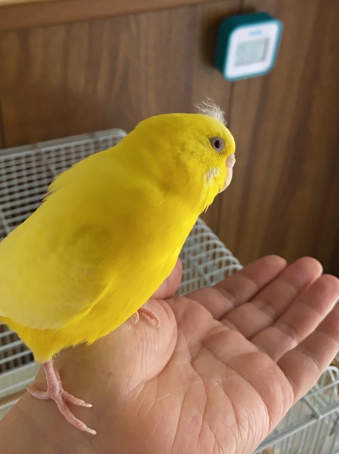 頭に…笑