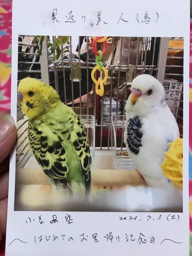 はじめまして♡︎