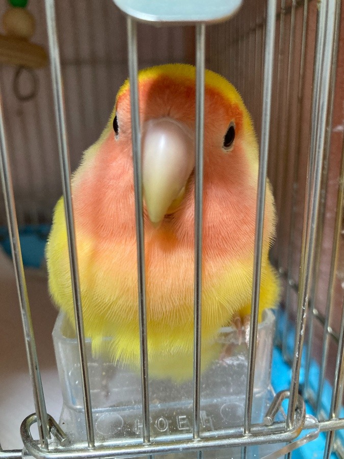 初投稿✨