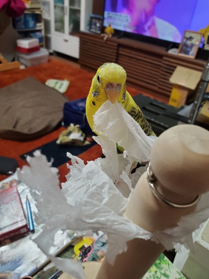 ビリビリ大好き